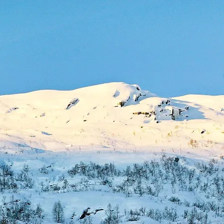 Holiday Fjellangervegen Ii *